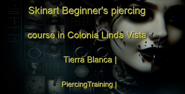 Skinart Beginner's piercing course in Colonia Linda Vista  Tierra Blanca | PiercingTraining | PiercingClasses | SkinartTraining-Mexico